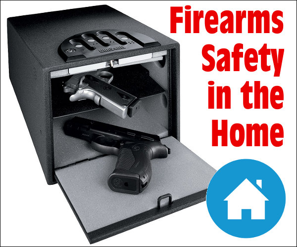 homegun1701 (1)